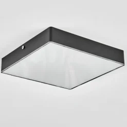 Esmar Plafonnier LED Noir, 1 lumière