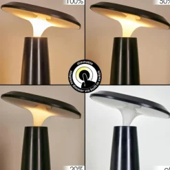 Eston Lampe de bureau, Lampe à poser LED Noir, Blanc, 1 lumière