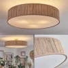 Foggia Plafonnier Nickel mat, 3 lumières