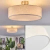 Foggia Plafonnier Nickel mat, 3 lumières