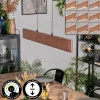 Fugelsta Suspension, Suspension LED Noir, 1 lumière