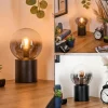 Gastor Boule lumineuse, Lampe de bureau, Lampe à poser Clair, Fumé, 1 lumière