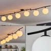 Gastor Plafonnier, Boule lumineuse Blanc, 6 lumières