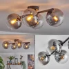 Gastor Plafonnier, Boule lumineuse Clair, Fumé, 4 lumières
