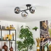 Gastor Plafonnier, Boule lumineuse Chrome, Clair, Fumé, 3 lumières