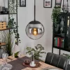 Gastor Suspension, Boule lumineuse Clair, Fumé, 1 lumière