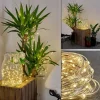 Guirlande solaire Pistoia LED Blanc, 120 lumières