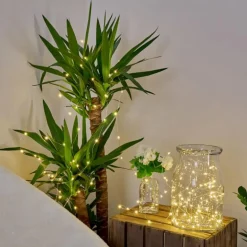 Guirlande solaire Pistoia LED Blanc, 120 lumières