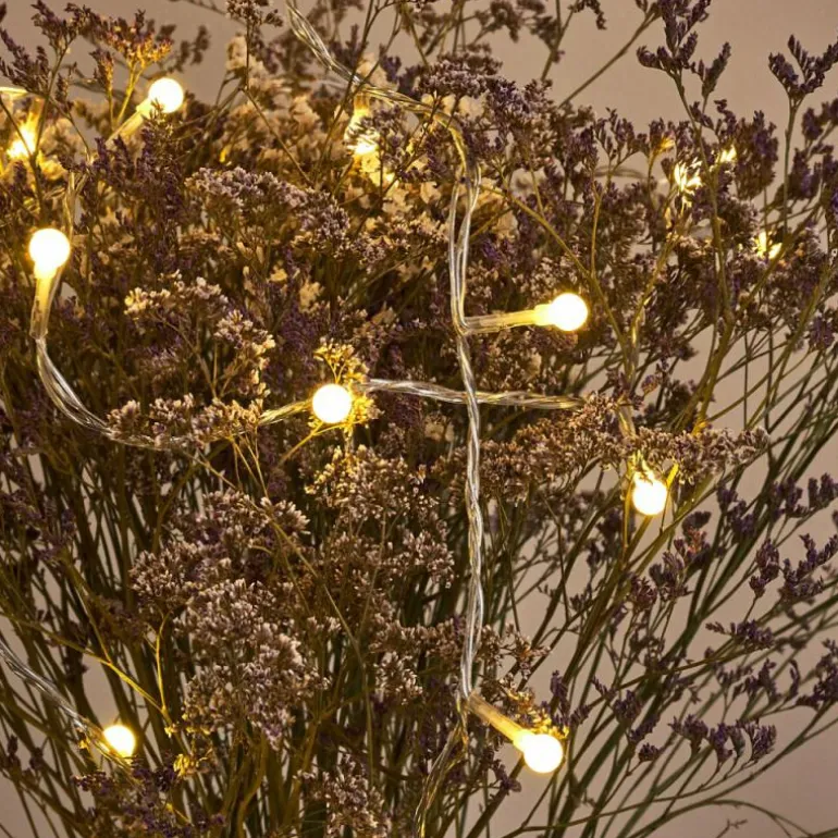 Guirlande Sondrio LED, 100 lumières