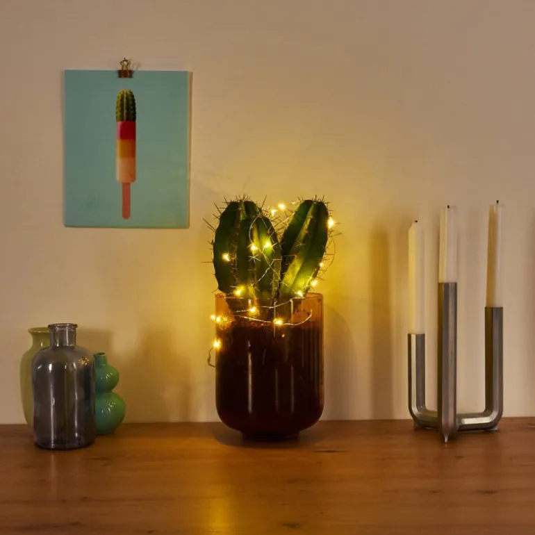 Guirlande Sondrio LED, 20 lumières