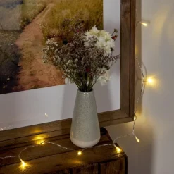 Guirlande Sondrio LED Blanc, 20 lumières
