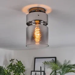 Hasvik Plafonnier, Spot de plafond Chrome, Fumée, 1 lumière