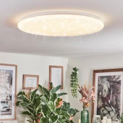 Junor Plafonnier LED Blanc, 1 lumière, Télécommandes