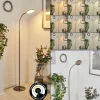 Lampadaire Haltia LED Nickel mat, 1 lumière