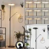 Lampadaire à vasque Choupico LED Noir, 2 lumières