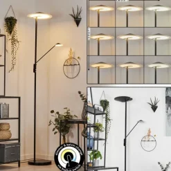 Lampadaire à vasque Choupico LED Noir, 2 lumières