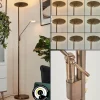 Lampadaire à vasque Murca LED Vieux laiton, 2 lumières