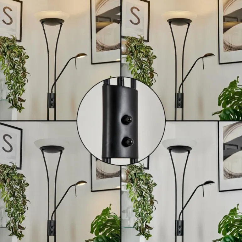 Lampadaire à vasque Chanlus LED Noir, 1 lumière
