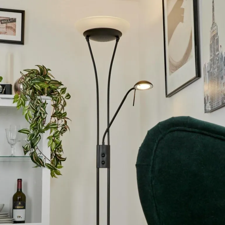 Lampadaire à vasque Chanlus LED Noir, 1 lumière