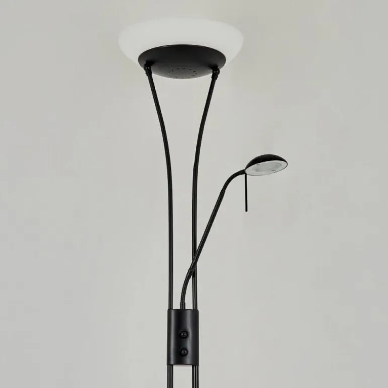 Lampadaire à vasque Chanlus LED Noir, 1 lumière