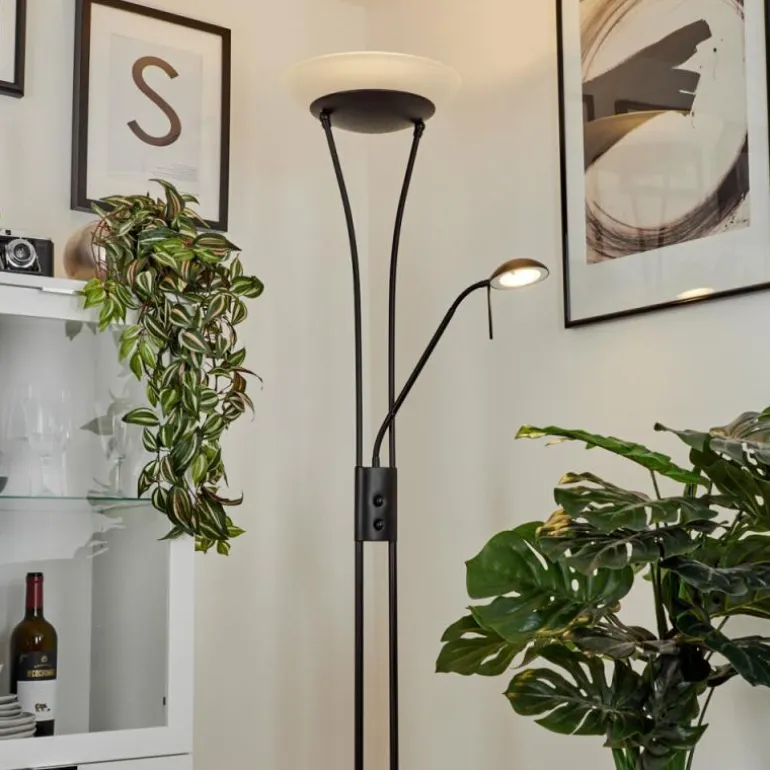 Lampadaire à vasque Chanlus LED Noir, 1 lumière
