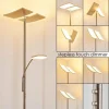 Lampadaire à vasque Thyolo LED Acier brossé, 2 lumières