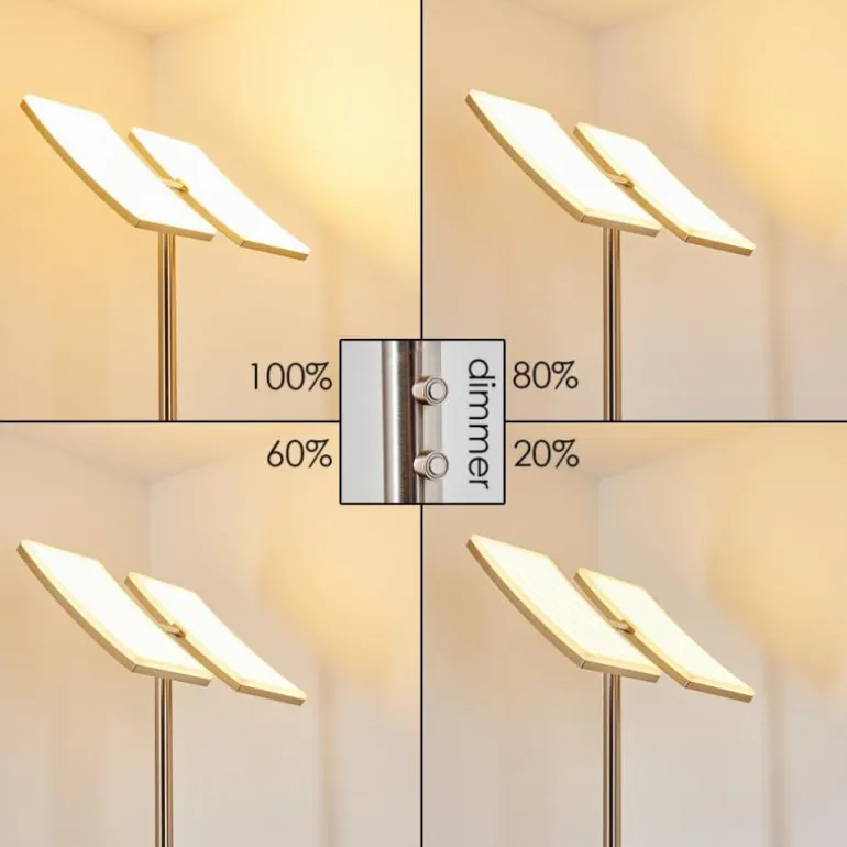Lampadaire à vasque Thyolo LED Acier brossé, 2 lumières