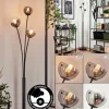 Lampadaire - Verre 10 cm Bernado Clair, Fumé, 3 lumières