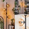 Lampadaire - Verre 15 cm Gastor Ambre, Clair, 4 lumières