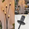 Lampadaire - Verre 15 cm Gastor Clair, 5 lumières