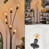 Lampadaire - Verre 15 cm Gastor Clair, 6 lumières