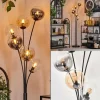 Lampadaire - Verre 15 cm Gastor Ambre, Clair, Fumé, 6 lumières
