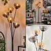 Lampadaire - Verre 15 cm Gastor Ambre, Clair, Fumé, 5 lumières