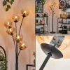 Lampadaire - Verre 15 cm Gastor Noir, 6 lumières
