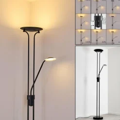 Lampadaire Abiqua LED Noir, 2 lumières