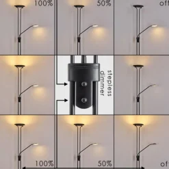 Lampadaire Abiqua LED Noir, 2 lumières