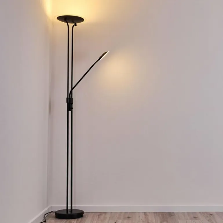 Lampadaire Abiqua LED Noir, 2 lumières