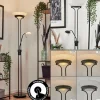 Lampadaire Biot LED Noir, 2 lumières