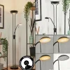 Lampadaire Biot LED Noir, 2 lumières