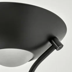 Lampadaire Biot LED Noir, 2 lumières