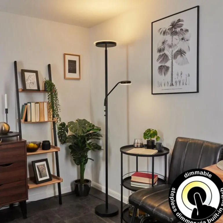 Lampadaire Busswil LED Noir, 2 lumières