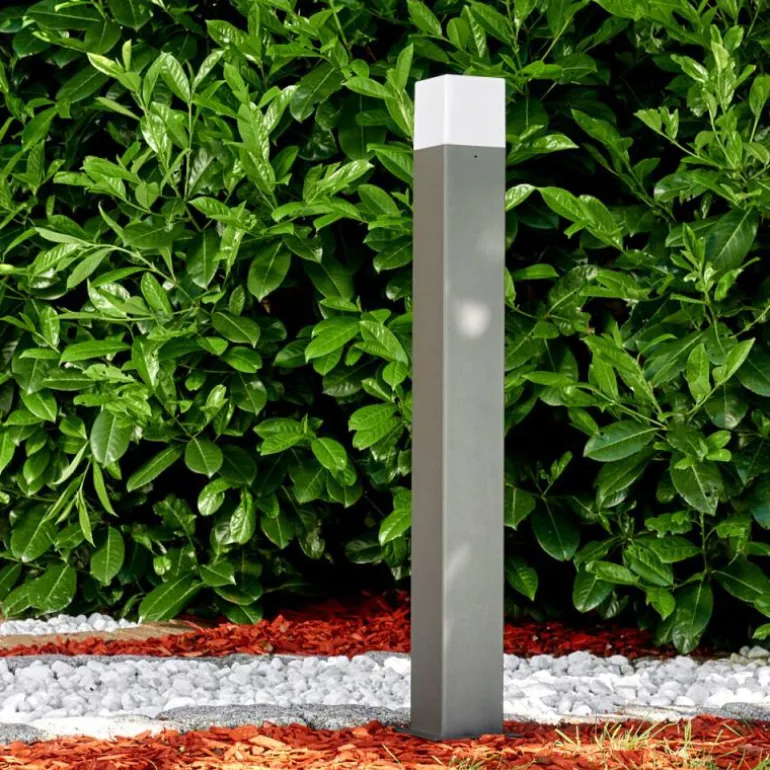Lampadaire d'extérieur Algier LED Anthracite, 1 lumière