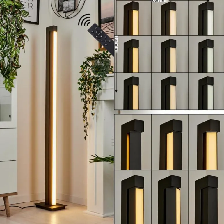 Lampadaire Dubuisson LED Anthracite, 1 lumière, Télécommandes