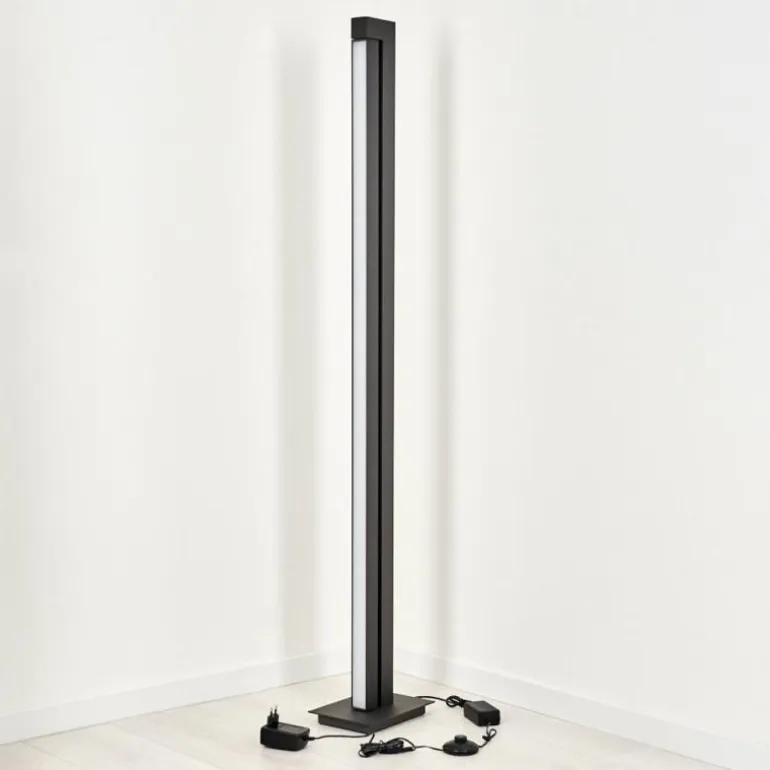 Lampadaire Dubuisson LED Anthracite, 1 lumière, Télécommandes