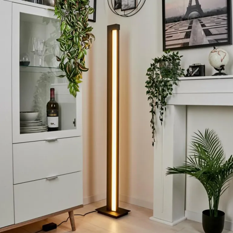 Lampadaire Dubuisson LED Anthracite, 1 lumière, Télécommandes
