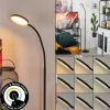 Lampadaire Haltia LED Noir, 1 lumière