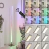 Lampadaire Minacar LED Nickel mat, 1 lumière, Télécommandes, Changeur de couleurs