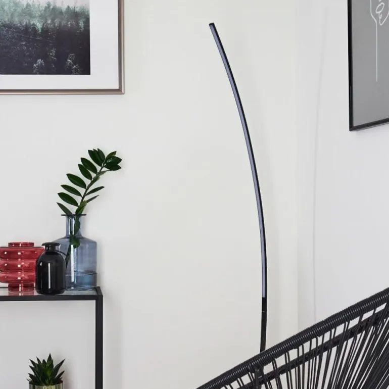 Lampadaire Nagu LED Noir, 1 lumière