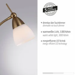 Lampadaire Paul Neuhaus PINO LED Vieux laiton, 1 lumière