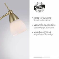 Lampadaire Paul Neuhaus PINO LED Laiton, 1 lumière
